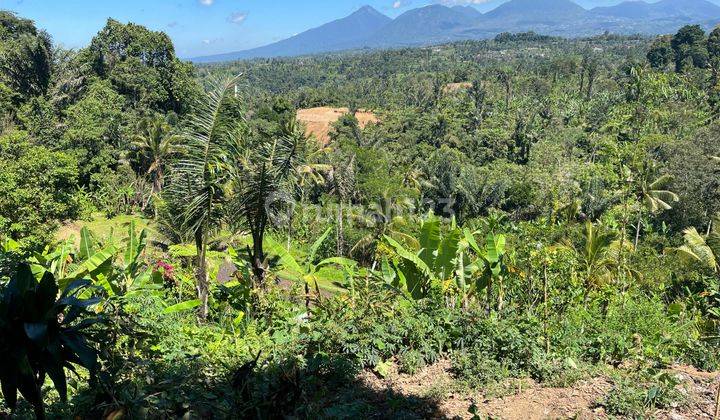 Tanah Zona Perkebunan Strategis Buahan Kaja Gianyar Bali 1