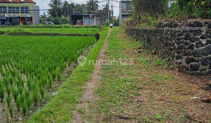 Land with rice field view ITR Nyitdah Kedungu settlement, Tabanan, Bali 1