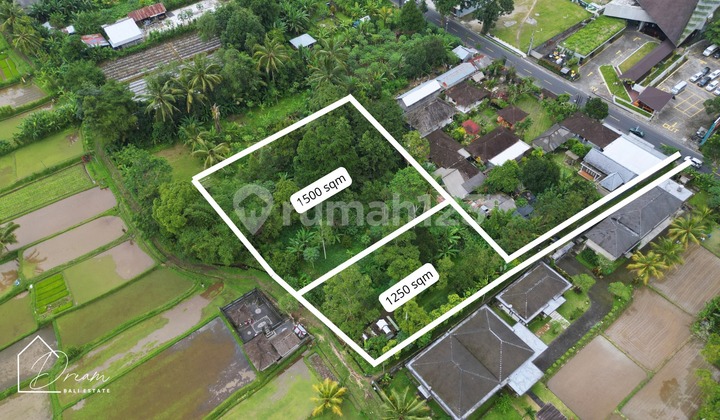 Cool Garden Land Luwus Tabanan Bali Cool Garden Land Luwus Tabanan Bali