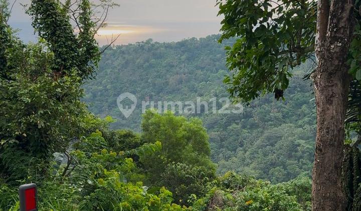 Tanah Ocean View Batu Layar Lombok 