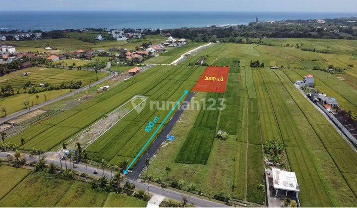 Tanah Zona Pariwisata Pantai Mengenin Cemagi Tabanan Bali 2