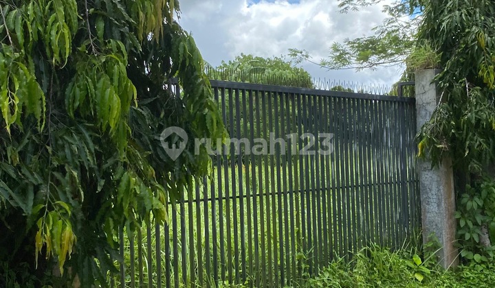 Land Suitable for Villa, Lodtunduh Residential Zone, Ubud Bali Land Suitable for Villa, Lodtunduh Residential Zone, Ubud Bali