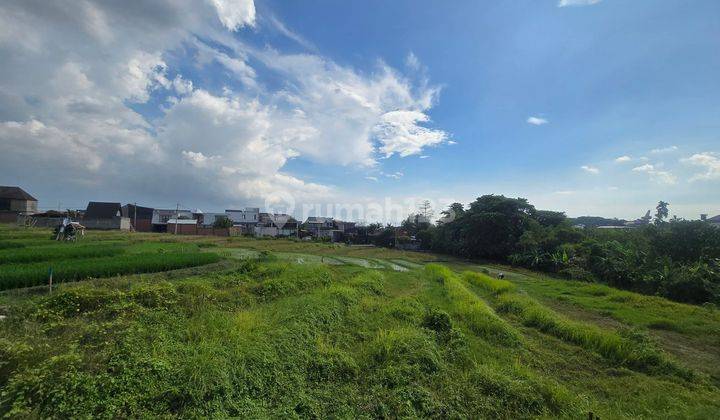 Tanah Strategis View Sawah Kedampang Kerobokan Bali 1