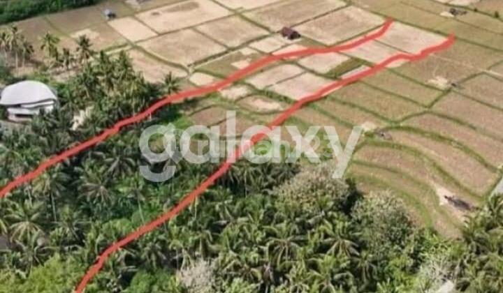 TANAH SINGAPADU SUKAWATI GIANYAR, BALI