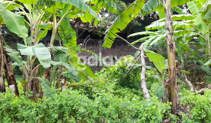 LAND OF TANGGUBAN PERAHU, PADANGSAMBIAN, DENPASAR, BALI