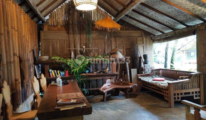 Rainforest Glamping Jatiluwih Tabanan Bali 2