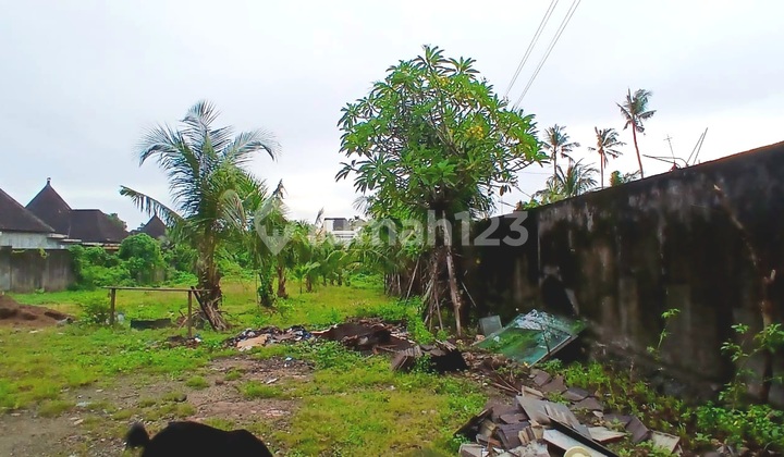 Tanah Premium Strategis Pangkung Sari Seminyak Bali Tanah Premium Strategis Pangkung Sari Seminyak Bali