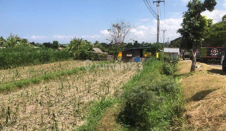 Tanah Strategis Zona Pariwisata Pantai Klotok Ketewel Gianyar Bali 2