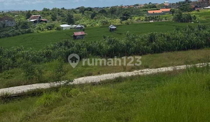 Land Overleased for 25 Years, Itr Settlement, Tibubebeng Canggu Land Overleased for 25 Years, Itr Settlement, Tibubebeng Canggu
