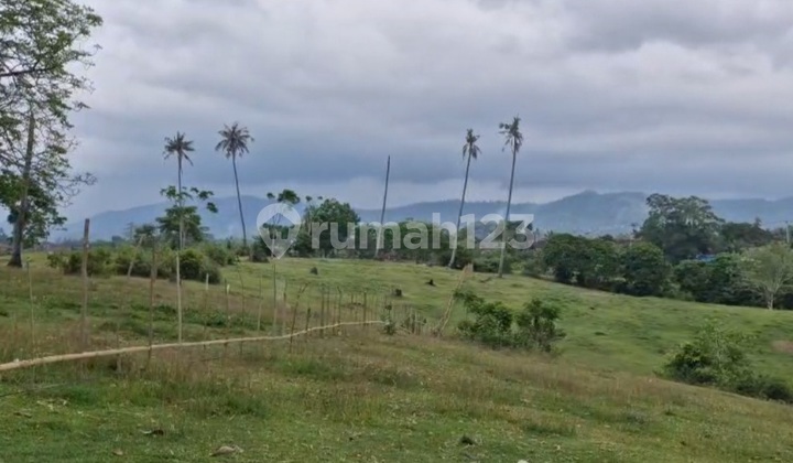 Tanah Jalan Kaki Ke Pantai Balian Tabanan Bali Tanah Jalan Kaki Ke Pantai Balian Tabanan Bali