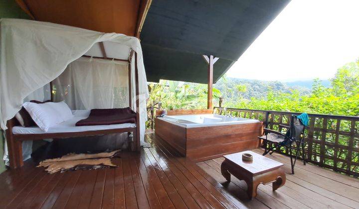 Rainforest Glamping Jatiluwih Tabanan Bali 2