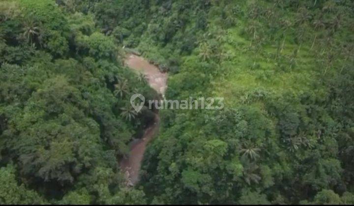 Land Los Sungai Forest View Melinggih Payangan Ubud Bali 1