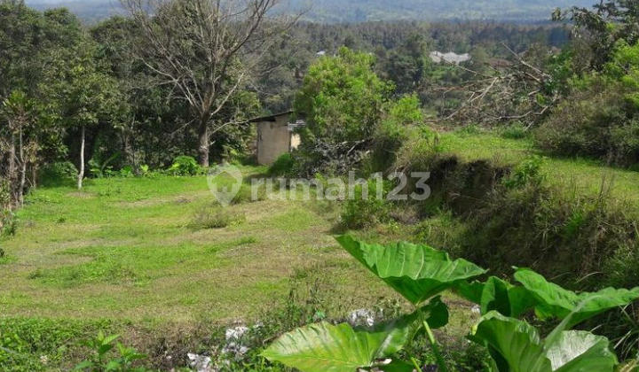 Land Suitable for Villa Garden with Good Location in Bedugul Tabanan