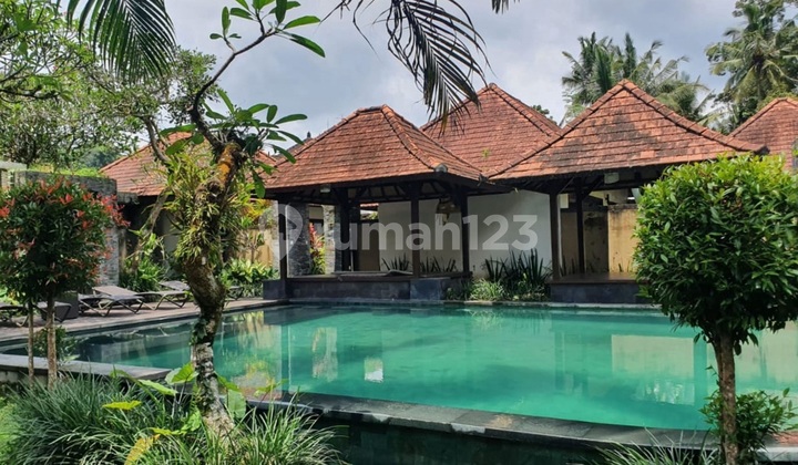 Villa Nyaman Modern Tropis Payangan Bali Dekat Pusat Ubud