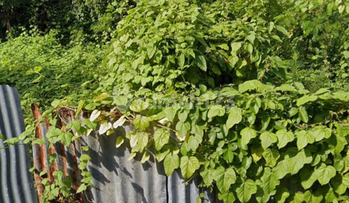 Tanah Strategis Itr Pemukiman Gurita Sesetan Sidakarya Denpasar 