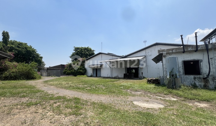 Factory for Sale, HGB, in Muktiharjo, 1 Ha 1