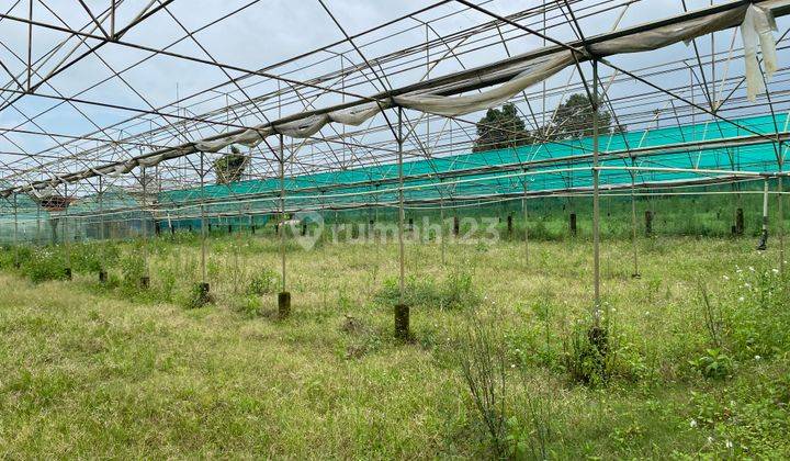 Dijual Tanah 4.775 m2 Cugenang, Cianjur 1