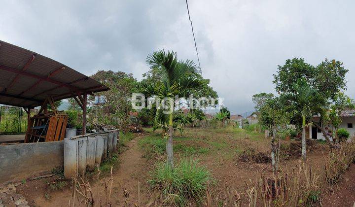 CALLING INVESTOR UNTUK 6000M² KAVLING 2