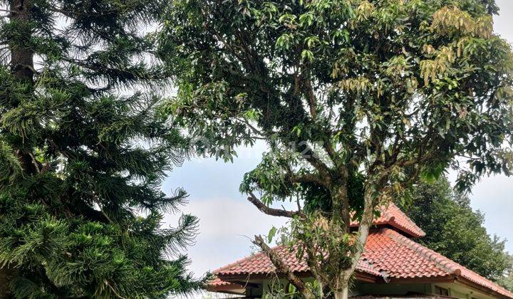 Di Jual Tanah Luas 8145m² SHM di Ciawi Bogor 6