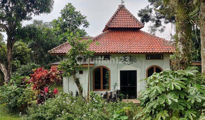 Di Jual Tanah Luas 8145m² SHM di Ciawi Bogor 8