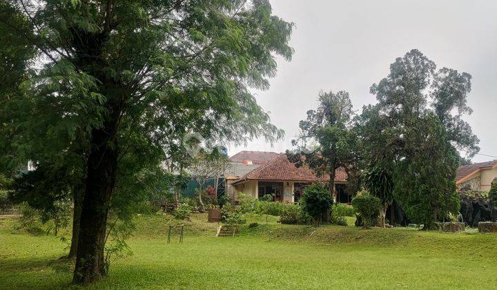 Di Jual Tanah Luas 8145m² SHM di Ciawi Bogor 9