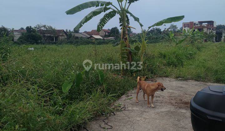 Di Jual Tanah SHM Lt 228m² di Hegarsari , Ciherang Dramaga Bogor 2