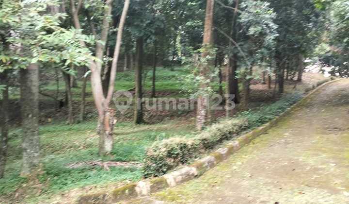 For Sale Tanah Cantik SHM LT 46.809m² di Gunung Geulis Cipayung Datar , dekat denan Summarecon Bogor For Sale Tanah Cantik SHM LT 46.809m² di Gunung Geulis Cipayung Datar , dekat denan Summarecon Bogor