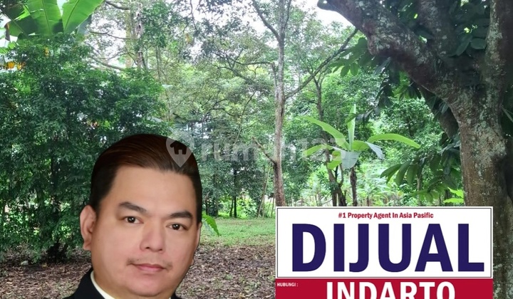 For Sale Wide Land SHM LT 6675M² in Palasari Cijeruk, Suitable Location for Private Cemetery