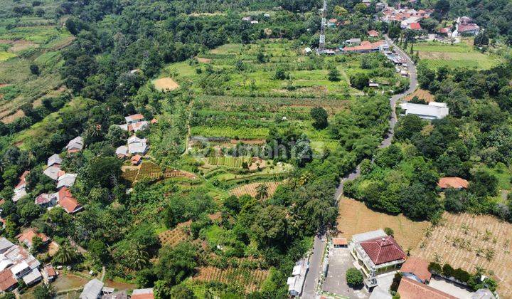 For Sale Tanah Murah Lt 57.897m² di Cijeruk Bogor Cocok Untuk Perumahan 2