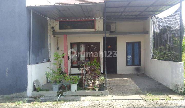 RUMAH MINIMALIS DRIYOREJO GRESIK  2