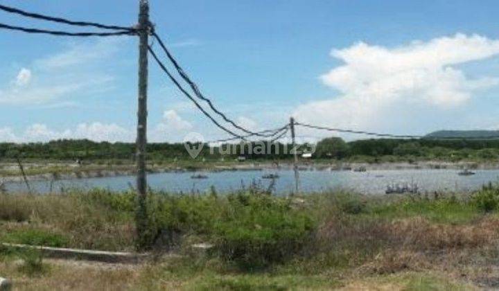 TAMBAK AKTIF UNDER NJOP BANYUWANGI JAWA TIMUR 2