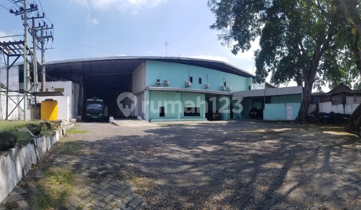 Ex Palawija Raya Tuban Babat Lamongan East Java Factory Ex Palawija Raya Tuban Babat Lamongan East Java Factory