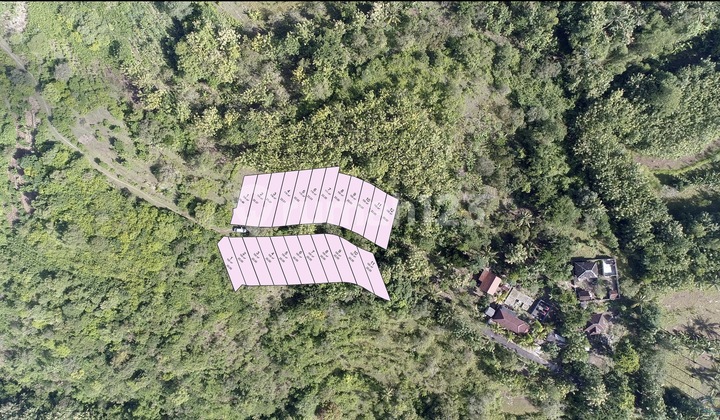 Tanah Villa Nusa Penida Cliff Klungkung Bali Tanah Villa Nusa Penida Cliff Klungkung Bali