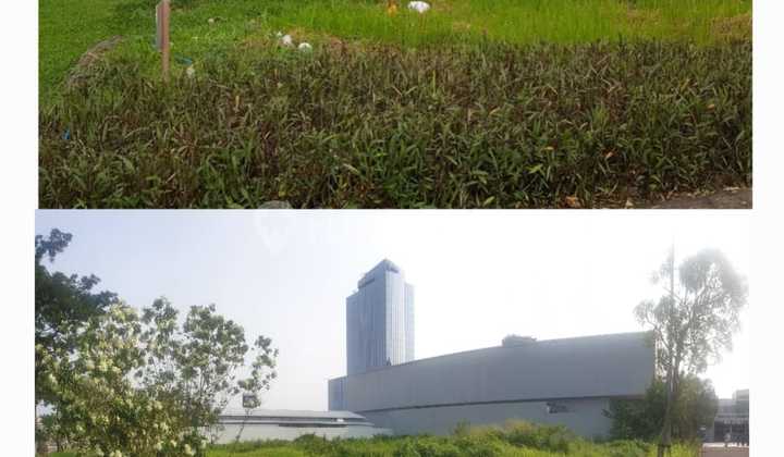 Disewakan Kavling Komersial Alam Sutera