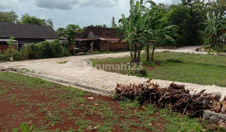 DIJUAL CEPAT LANGSUNG NEGO DG  OWNER TANAH SIAP BANGUN UNTUK PENGEMBANG CLUSTER/PERUMAHAN   DI REJOSARI, BALEHARJO, WONOSARI, GUNUNG KIDUL  SEBRANG SAMSAT WONOSARI.  1