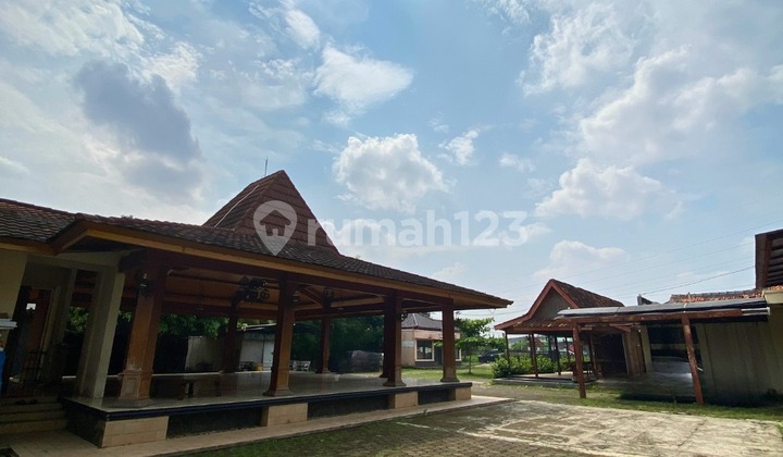 Rumah Luas Model Pendopo Unik Bergaya Jawa Classic Di Tangsel 2