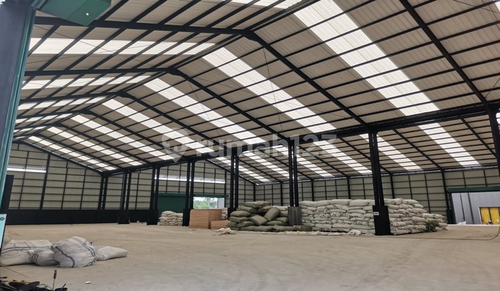 Dijual Gudang Bagus Di Kapuk Peternakan, Luas 1,5ha Lb 6100m2, Akses 40ft Siap Pakai Jarang Ada Lokasi Bagus!! Dijual Gudang Bagus Di Kapuk Peternakan, Luas 1,5ha Lb 6100m2, Akses 40ft Siap Pakai Jarang Ada Lokasi Bagus!!
