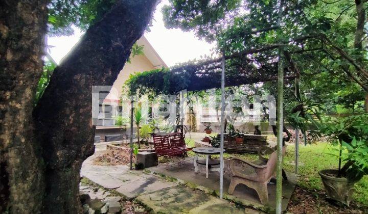 Jual Rumah Strategis Nol Jalan Raya Langsep Malang 2