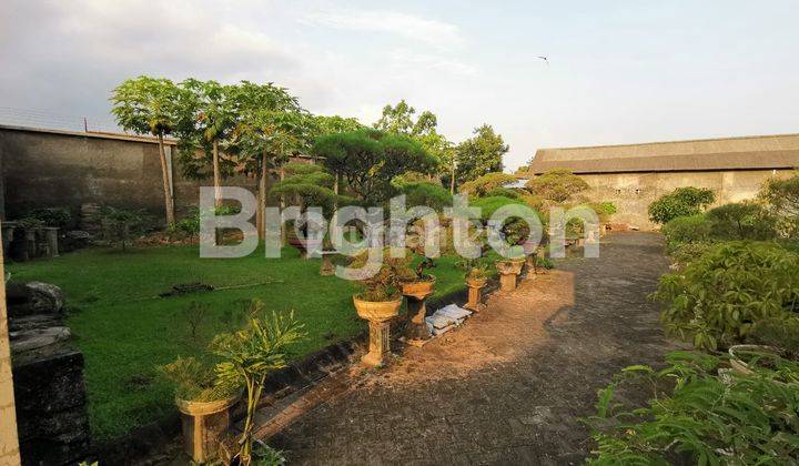 Disewakan Bangunan Untuk Kantor di Kedungkandang 3