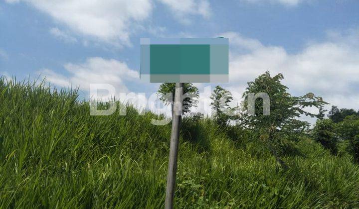 Jual Tanah di Row Jalan Lebar Area Lawang Malang 1