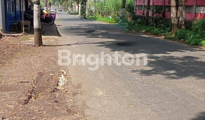 Tanah Disewakan daerah Pakisjajar Malang 2