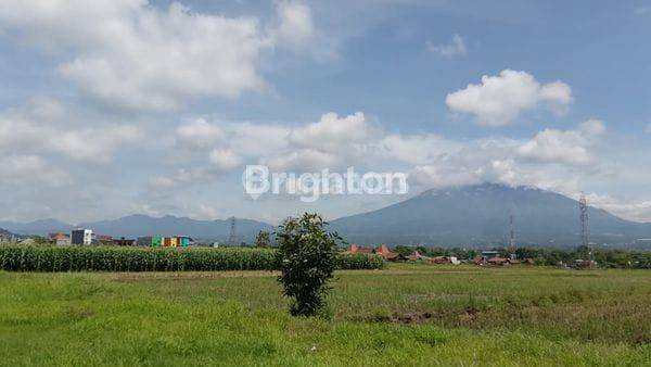 Tanah Kavling Tegalgondo Dekat Umm Cocok Untuk Usaha Kost 1