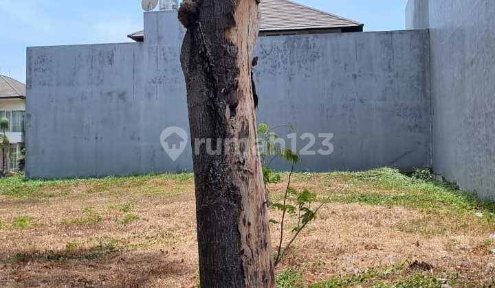 For Sale Fast Strategic Plot Raffles Citraland Surabaya For Sale Fast Strategic Plot Raffles Citraland Surabaya