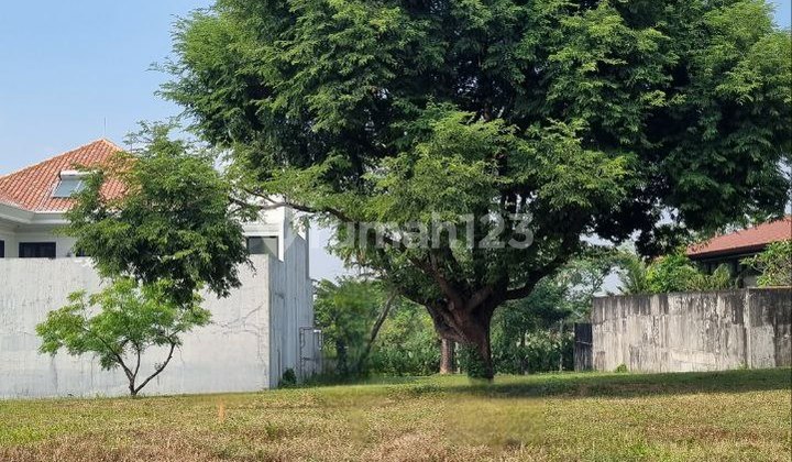 Dijual Cepat Kavling Citraland Puncak Golf Lokasi Prime Dijual Cepat Kavling Citraland Puncak Golf Lokasi Prime