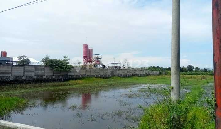 Tanah di Jalur Pantura Tegal Pemalang 2