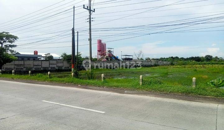 Tanah di Jalur Pantura Tegal Pemalang 1
