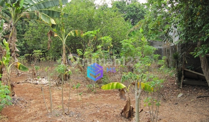Land Suitable for Padel / Restaurant / Office / Clinic near Margo City Land Suitable for Padel / Restaurant / Office / Clinic near Margo City