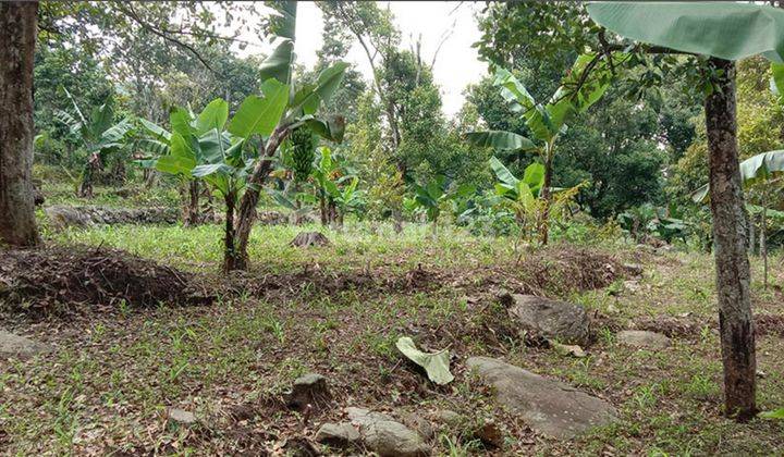 Tanah Komersil Pondok Cabe Raya Dekat Kharisma Bangsa 2