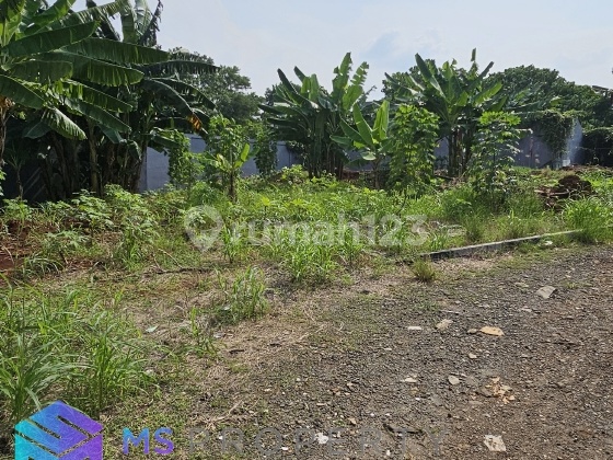 LAND AT KARTINI TB SIMATUPANG NEAR RPX OFFICE LAND AT KARTINI TB SIMATUPANG NEAR RPX OFFICE