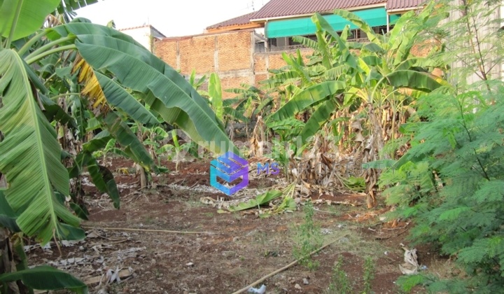 Land Suitable for Padel / Restaurant / Office / Clinic near Margo City Land Suitable for Padel / Restaurant / Office / Clinic near Margo City